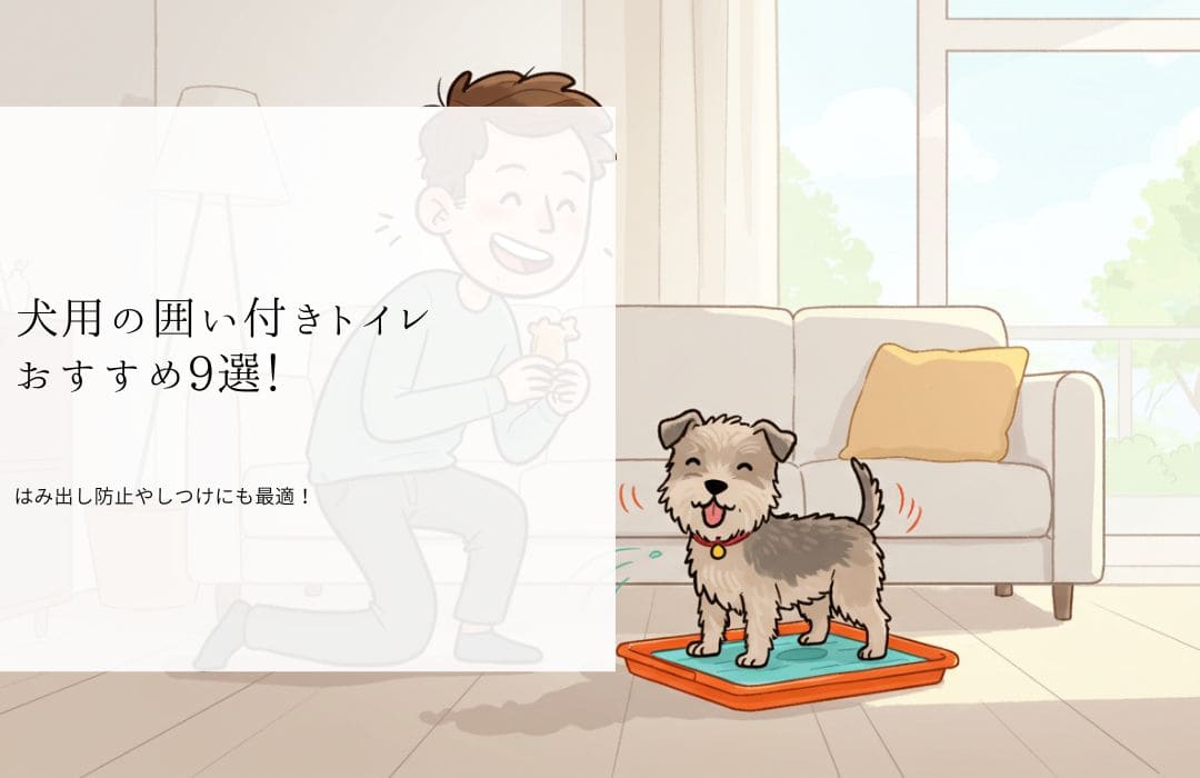 アイキャッチ画像