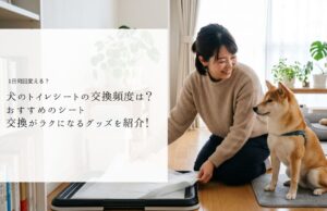 アイキャッツ画像
