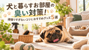 アイキャット不画像